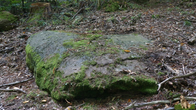 Ritterstein Nr. 236-3a Haingeraide Loogfelsen.JPG - Ritterstein Nr.236 Haingeraide Loogfelsen